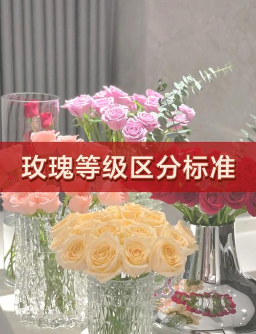 点亮小屋_如何点亮玫瑰小镇图标_点亮小镇图标玫瑰图片