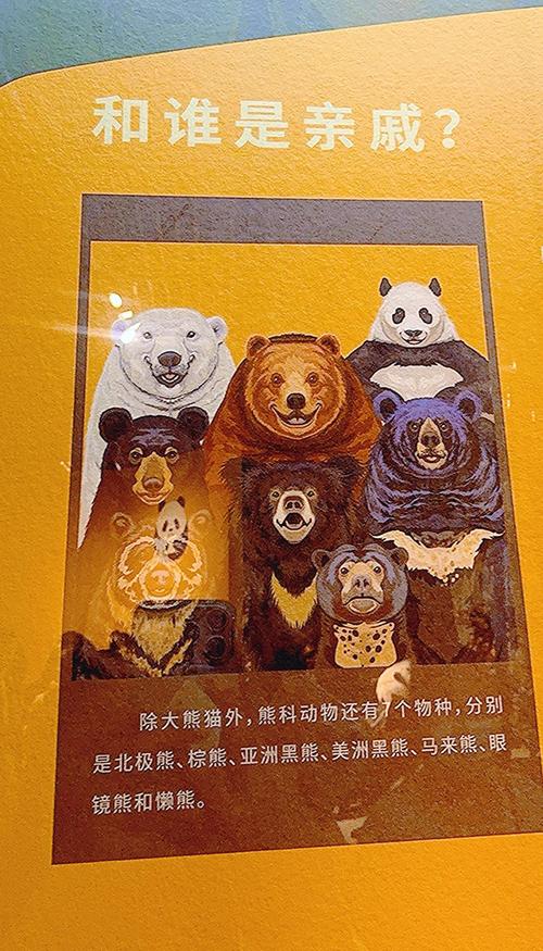 轩辕传奇2寻找北极熊_北极熊自然传奇中文版_轩辕传奇北极熊坐标