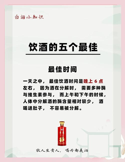 御龙在天饮酒玩法全解析：准备与酒种选择是关键？