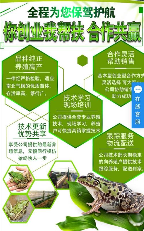 蛙 下载_蛙下载网址_蛙下载莫言