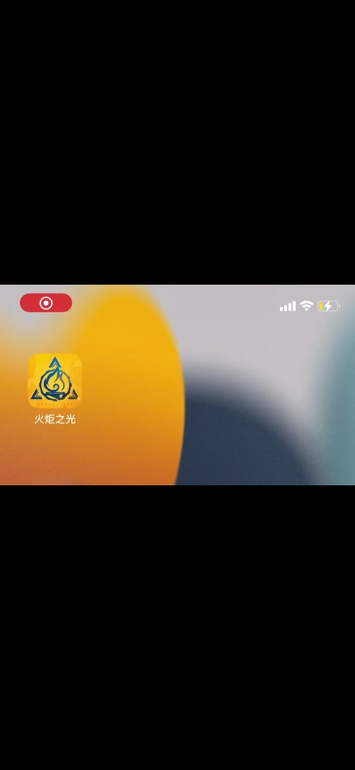 火炬app怎么样_火炬之光2怎么联网玩_火炬游戏