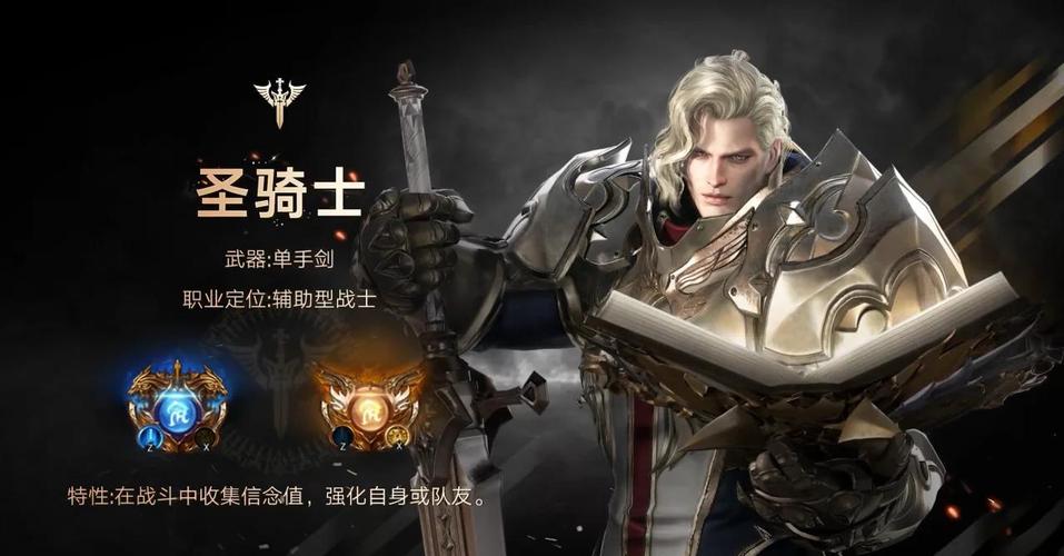 骑士的圣光之力_圣骑士的光芒_圣骑士圣光