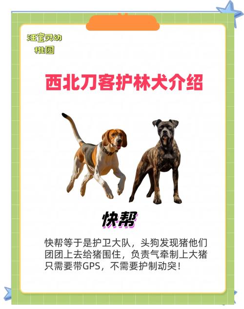 qq农场伴侣_情侣农场助手_农场伴侣
