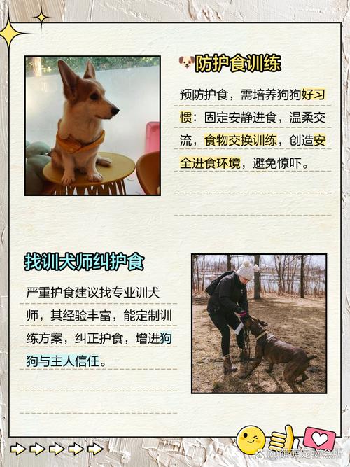 农场伴侣_qq农场伴侣_情侣农场助手