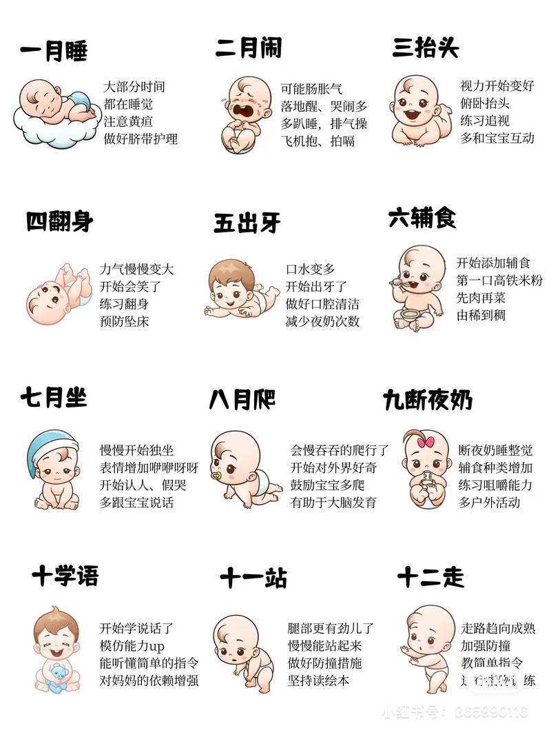 白包_baibao_百宝山