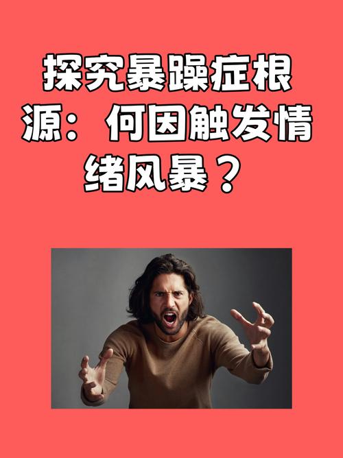 深入剖析狂暴者：热情力量背后的情绪行为特征全解析
