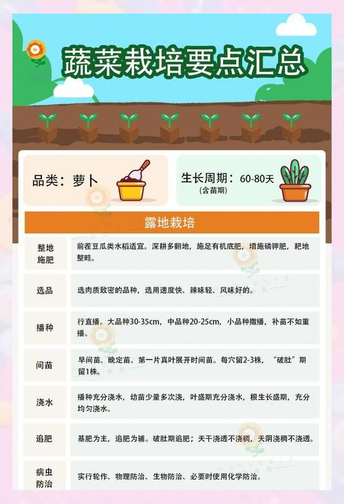 QQ农场曾超火！分享种萝卜快速积累经验值的实用技巧