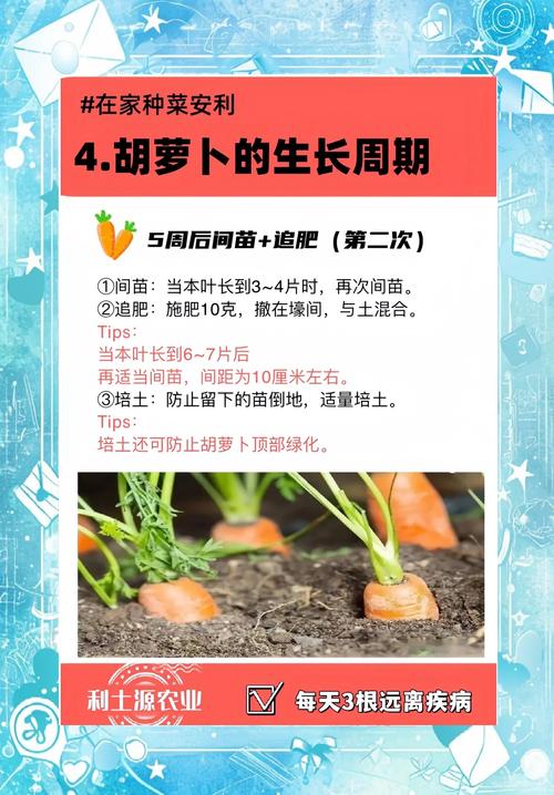 qq农场怎么刷经验_2021qq农场快速刷经验_农场刷经验最快方法