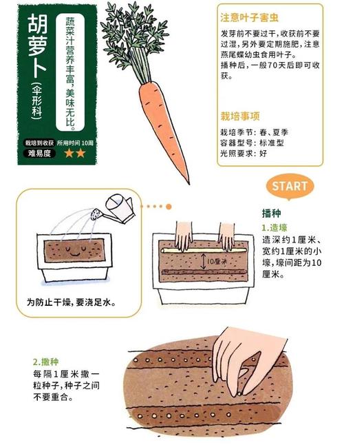 qq农场怎么刷经验_2021qq农场快速刷经验_农场刷经验最快方法