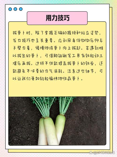 2021qq农场快速刷经验_qq农场怎么刷经验_农场刷经验最快方法