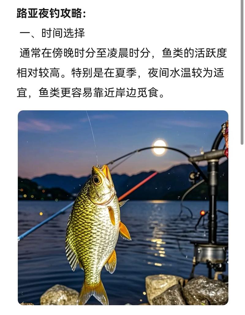 钓鱼乐趣多，挑战足，历史久，世界各地特色技巧大揭秘