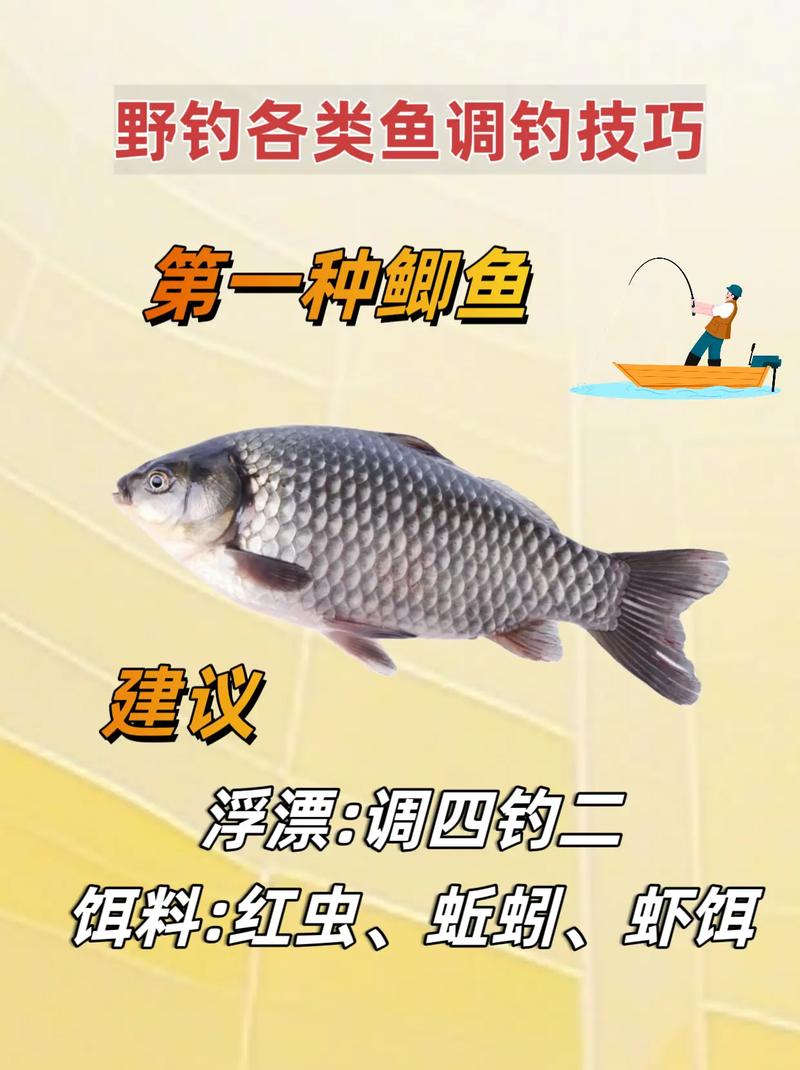 钓鱼天下无双怎么用_天下钓鱼_钓鱼天下3D破解版