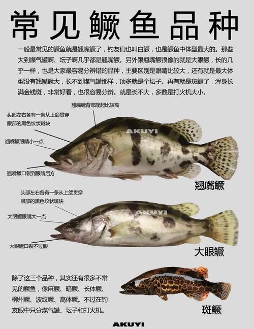 钓鱼天下3D破解版_钓鱼天下无双怎么用_天下钓鱼