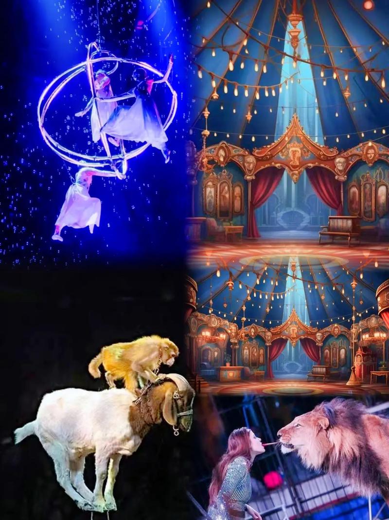暗夜马戏团_暗夜马戏团buff怎么获得_暗夜马戏团卡牌一览