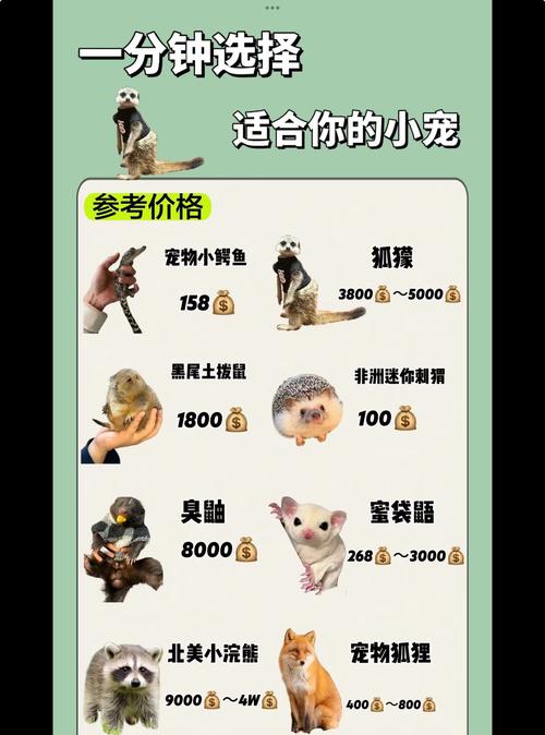 新版天天酷跑宠物大盘点！萌系与战斗宠物特点全解析