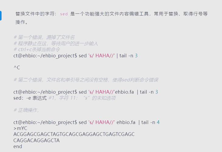 文件解压器下载_下载的解压包_解压软件的文件