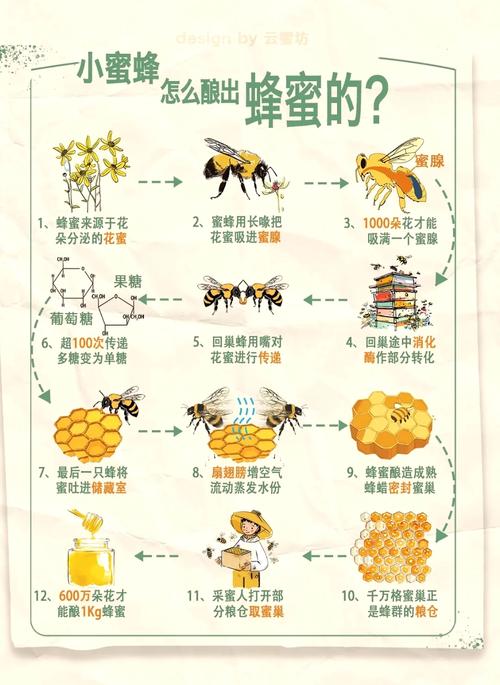 探秘流花蜜露：清甜消暑饮品的原料来源与制作工艺详解