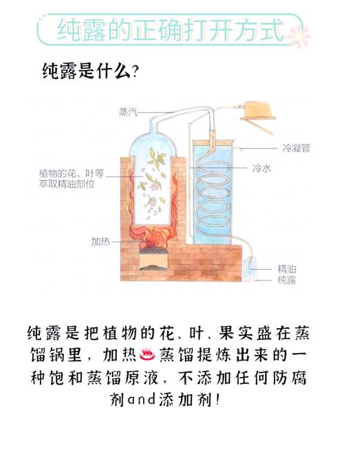 花露蜜酒_流花蜜露_梅露可物语飞鼠流