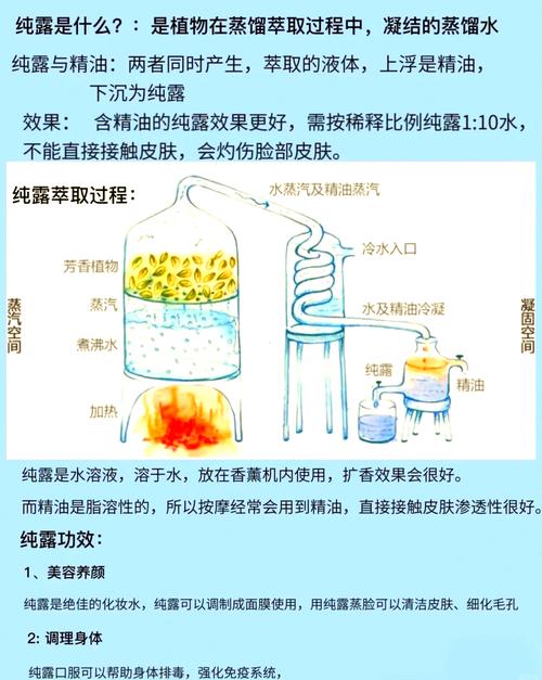 流花蜜露_梅露可物语飞鼠流_花露蜜酒