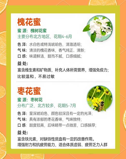流花蜜露_花露蜜酒_梅露可物语飞鼠流