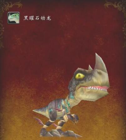 黑曜石龙牌_黑曜石龙龟价格图片_黑曜石幼龙