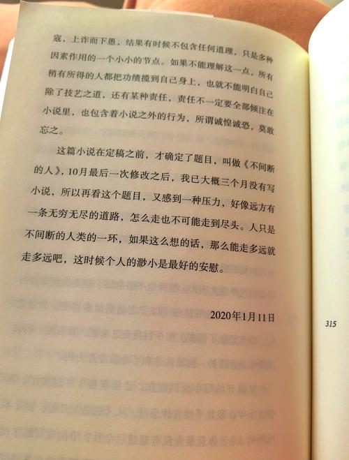 向日葵希望_向日葵与绵羊们_向日葵的羊