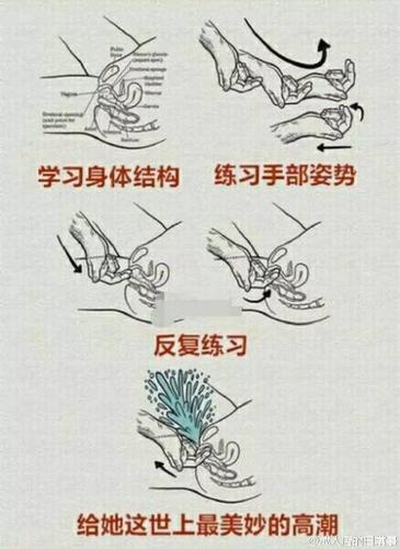 金手指怎么用_金手指用橡皮擦_金手指用不了怎么办