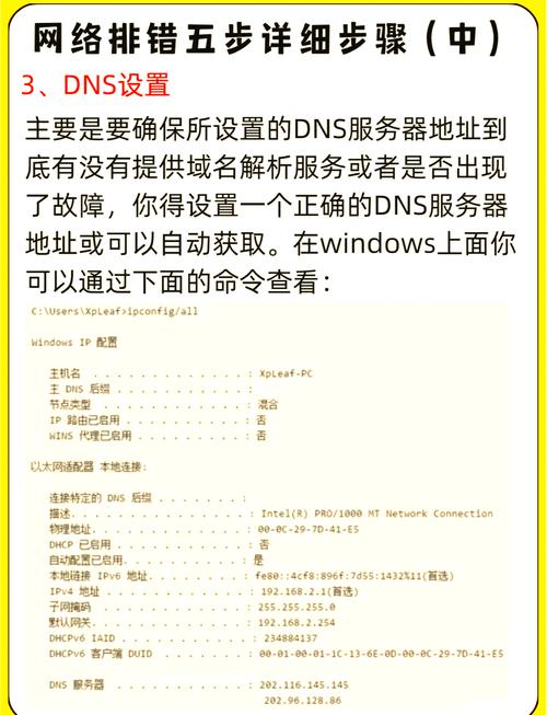 赛尔号打开超兽武装_赛尔号打开界面空白_为什么赛尔号打不开