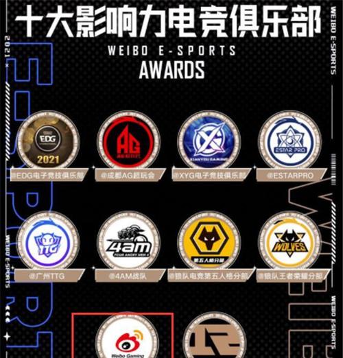 战队标签什么意思_组战队标签_lol战队标签