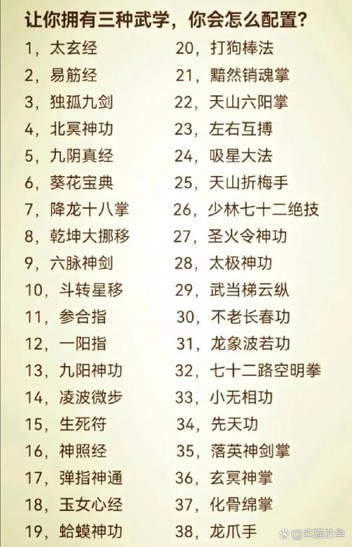 九阴真经神门十三剑_九阴真经剑生太极_剑心侠义九阴真经