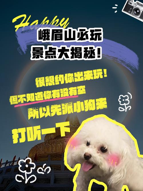 九阴真经峨眉刺探_峨眉派的九阴真经_九阴真经峨眉绝学倾城刺