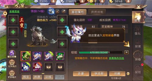 远征宠物在哪里抓_远征宠物药_远征ol宠物