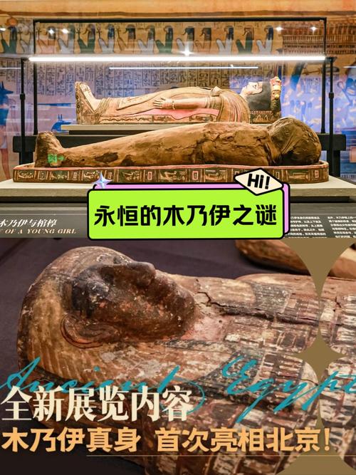 木乃伊莫尼亚_木乃伊伊莫尼亚_木乃伊莫尼亚怎么过