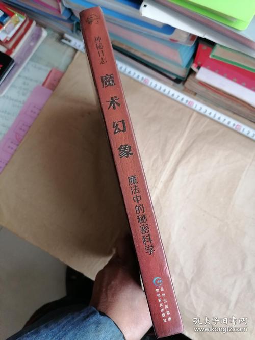 幻术师_轮椅上的最强幻术师_幻术师我的世界