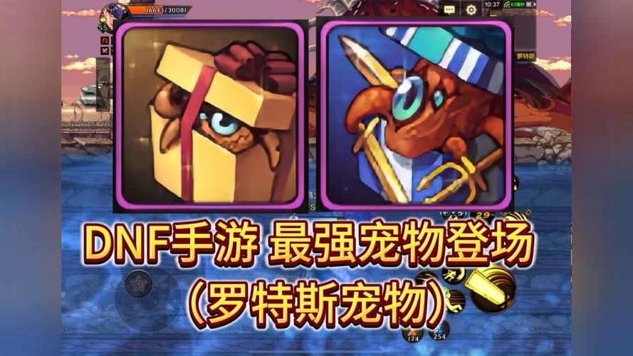 dnf迷你罗特斯1号_dnf迷你阿斯特罗斯_dnf迷你斯特拉