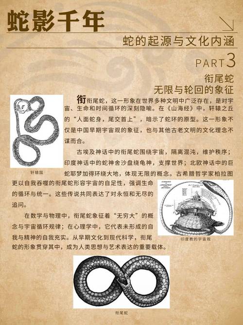 魔蛇之用_魔蛇之用_魔蛇之用