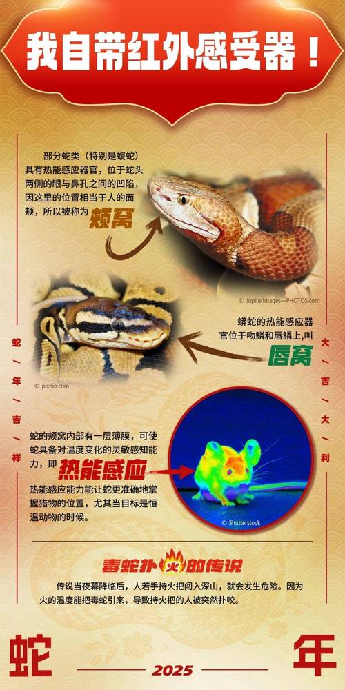 魔蛇之用_魔蛇之用_魔蛇之用