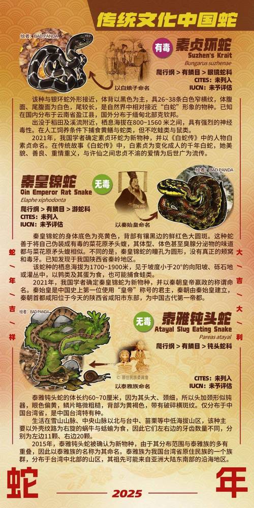 魔蛇之用_魔蛇之用_魔蛇之用