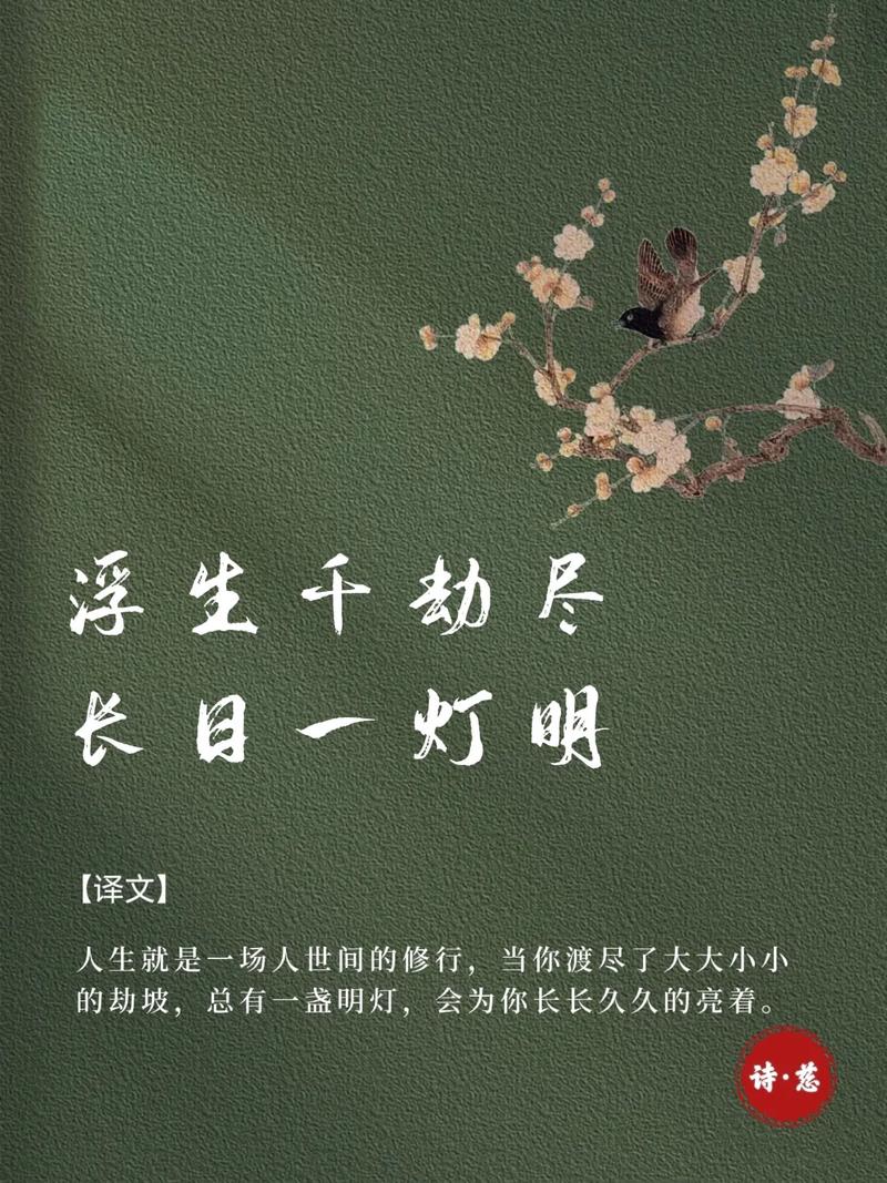 劫尽_劫尽_劫尽棋亡