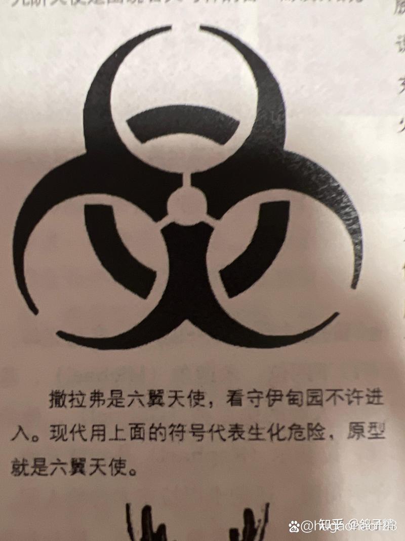 深入探讨生化战场图标：设计理念与核心玩法的巧妙融合