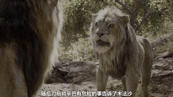 洛克王国动物组遗传技能_洛克王国动物组_洛克王国动物组宠物在哪抓