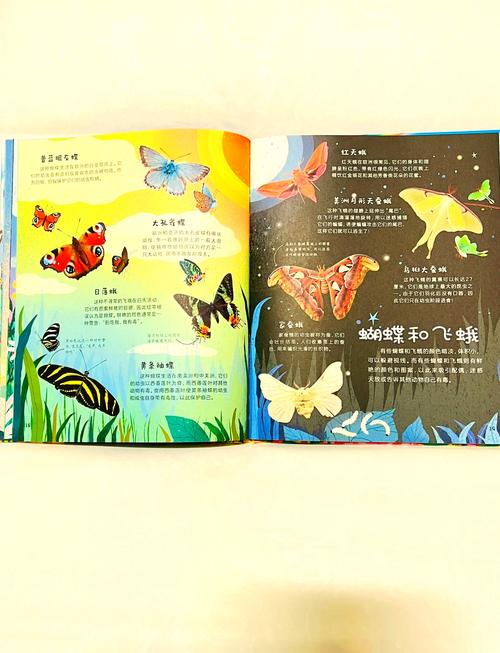 黎明时分开启探索之旅，揭秘自然奥秘，促进心灵成长