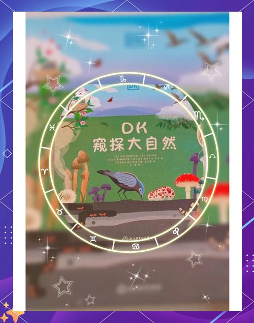 探索之黎明_寻找黎明_黎明区探索宝箱位置