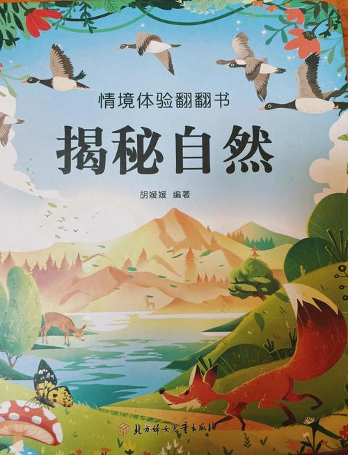 寻找黎明_黎明区探索宝箱位置_探索之黎明