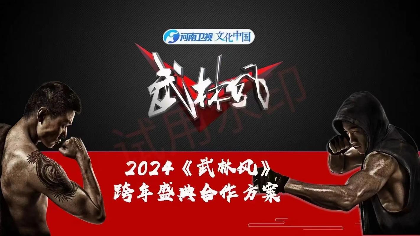 武林风备受武术迷青睐，河南卫视与网络平台重播时间大揭秘