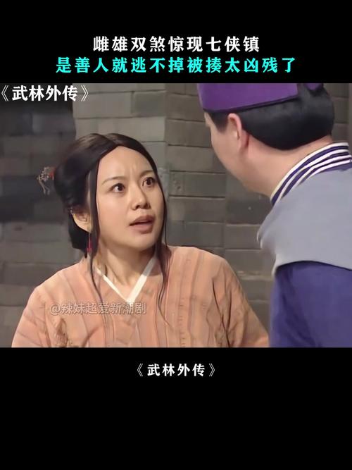 武林外传追捕逃犯：关乎正义与七侠镇安宁，缘由与伎俩大揭秘