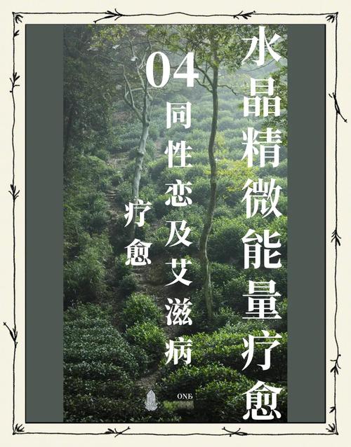 水晶恋恋的钻石是真的吗_水晶之恋是什么服务_水晶の恋