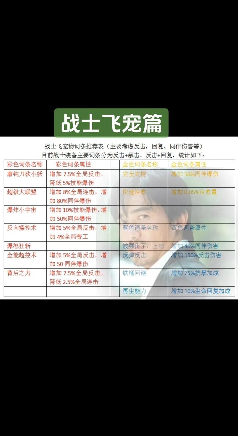 新飞飞战士加点_飞飞战士怎么加点_飞飞战士转职