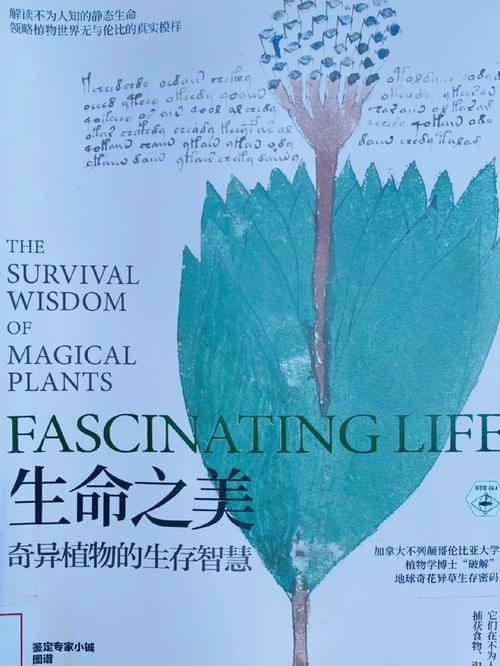 探索生命之神荣耀的多样展现：从创世奇迹到自然万物的光辉