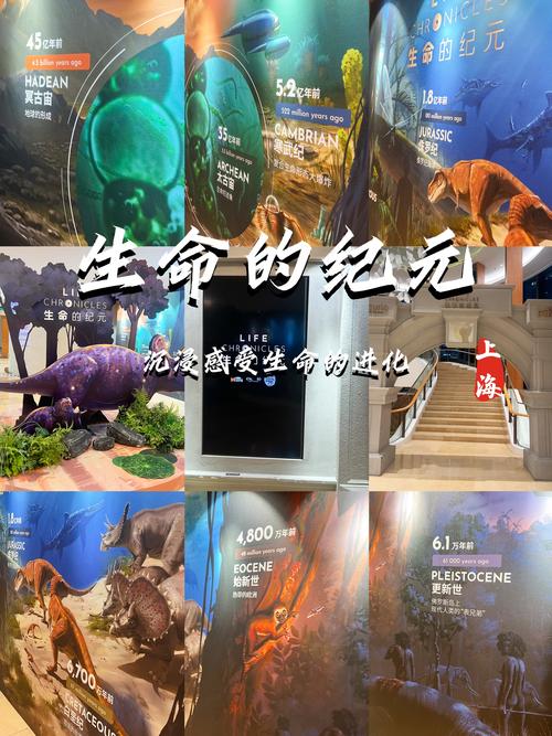 荣耀的生命_生命之神的荣耀_生命之神的荣耀外观